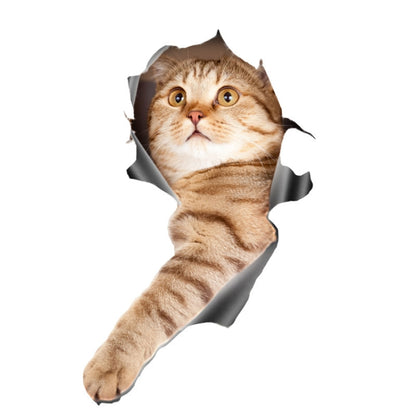 3D tabby cat car body sticker, realistic face and paws, torn-paper style