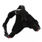 Adjustable dog chest strap harness, black with black straps, D-ring and quick-release