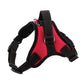 Adjustable dog chest strap harness, rose red with black straps, D-ring and side buckles