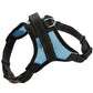 Adjustable dog chest harness with black straps and blue padded chest panel.