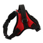 Adjustable dog chest harness with black straps and red fabric panel.