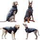 Reflective dog winter coat on dogs, dark coat with gray collar and adjustable harness straps