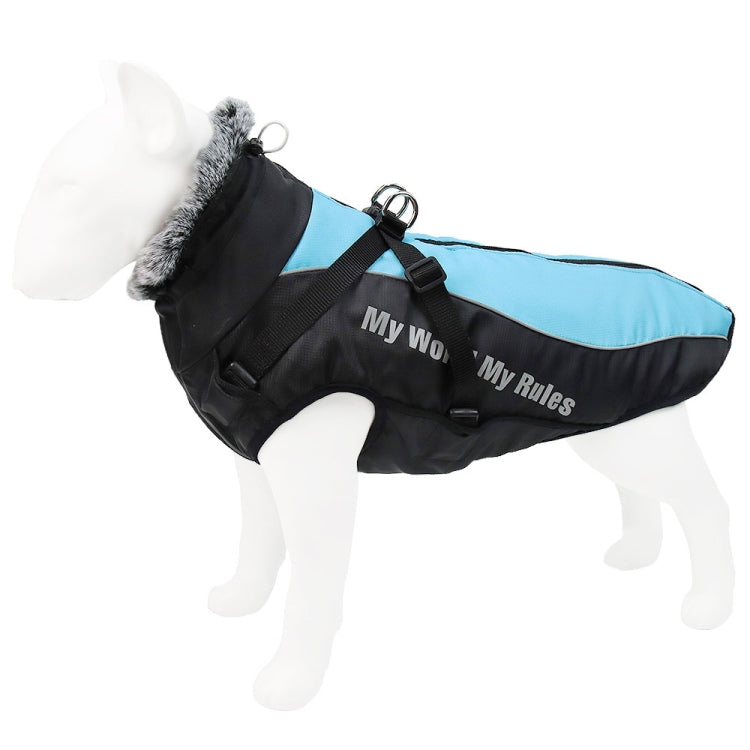Reflective dog winter coat, black with light blue padded back panel and adjustable chest straps