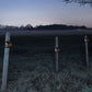 TBD0602041501_B6.jpg@86a5120062ba6a07931facfded3ecb89