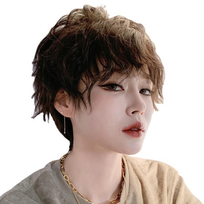 Dark brown short shaggy wig with fluffy permed curls and natural bangs