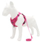 Pink dog chest strap vest with traction rope and padded chest harness.