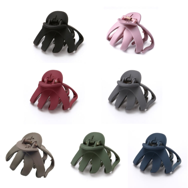 Assorted set of frosted hair grab claw clips in multiple colors