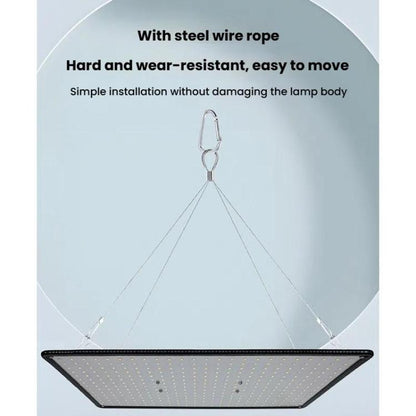 TBD06034227_B8.jpg@8fc1c1eb726ebe519871947247e734b0