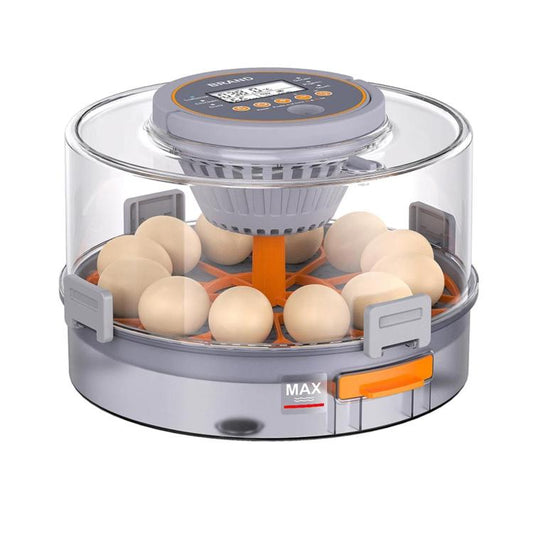 Egg incubator with clear dome lid, orange egg tray, and gray base with controls