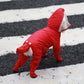 Red hooded all-in-one pet raincoat with snap buttons and boot-style legs