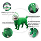 Green all-in-one raincoat with 360 transparent brim, snap placket, and rain boots