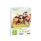 Mandik 4R glossy photo paper box, 102x152mm format, 100 sheets per pack
