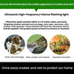 Outdoor Solar-Powered Ultrasonic Animal Repellent, 708, 708B