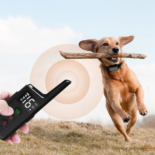 Dog wearing black training collar receiver while handheld remote is held nearby