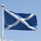 TBD06041008_B4.jpg@d26731831589cf45368366887aecc2f5