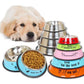 Pet dog with multiple stainless steel food bowls on colorful anti-slip bases.