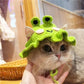 Pet Headgear Props Cats And Dogs Knitted Hat Headwear, S, M