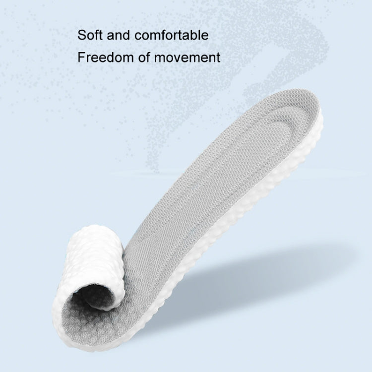 TBD06046522_B2.jpg@1c514413378e0b0c31461c5c3e8b7492