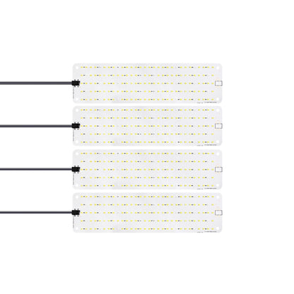 TBD0604774004B.jpg@c1f6c1aa628c4b64804c7ba016db0ae3