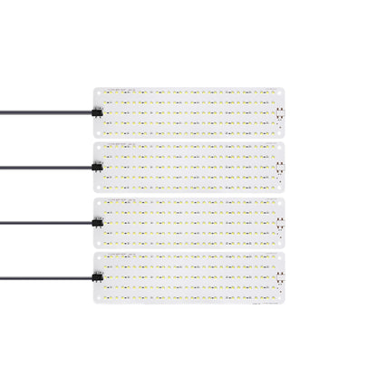 TBD0604774604A.jpg@f5e636025e796dbaa153b5d0f68ecdde