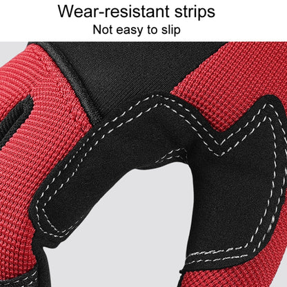 TBD06049464_B2.jpg@d8e240c74bc31f1fdc22305a3577ea0c