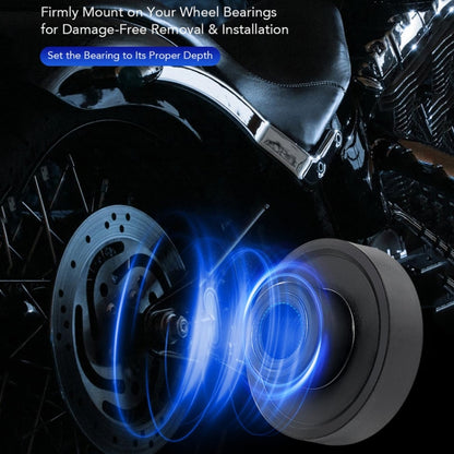 TBD06055900_B5.jpg@b46b0a4ded96121eb16eafe78d0f4a2e