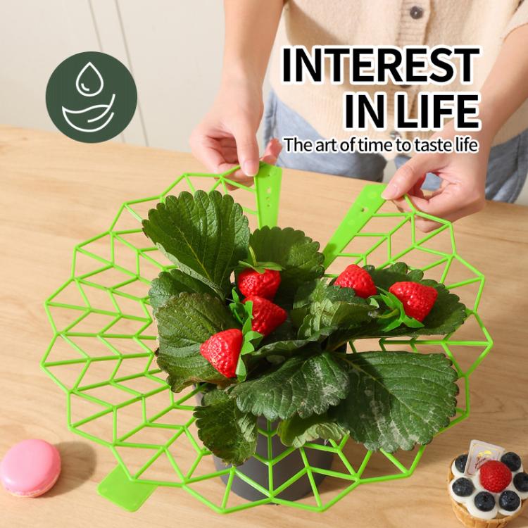 TBD06056983_B4.jpg@e38531132a07d05adce25b55cfe4d674