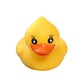 TBD06057647_B1.jpg@9d3cdea2ef95577aa22a2b09886dca52