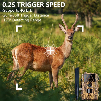 TBD06057769_B4.jpg@9dd970d73c49049d21c1be235e002eae