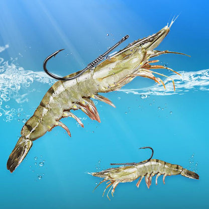 TBD06058349_B8.jpg@578c54b0d8be4aedf6ae78addc070b9e