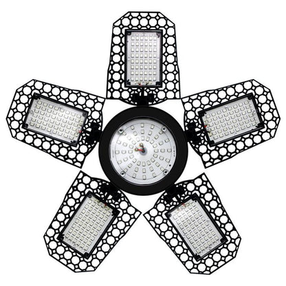 TBD0605838003.jpg@bfd6a66b15d5c72784d75acc0aa8687e