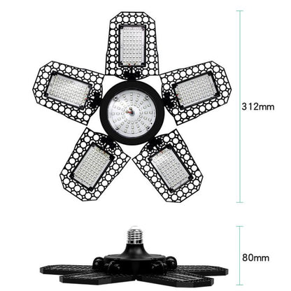 TBD06058380_B8.jpg@ecd4402c7e1d221067eef76ab64d917c