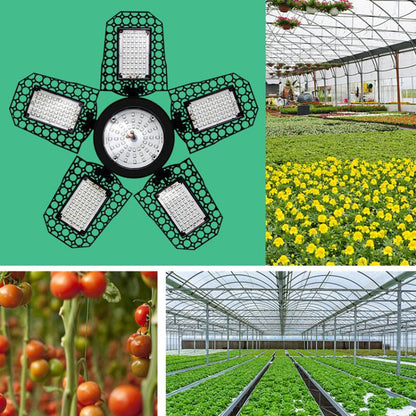 TBD06058380_B9.jpg@bc73a7a5a678bc56204a4c1a30d308b9