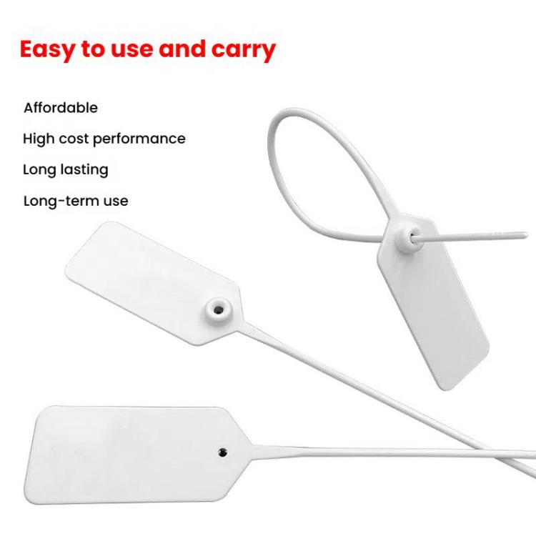 Plastic security seal tags with tie cords, including white and rectangular tag shapes