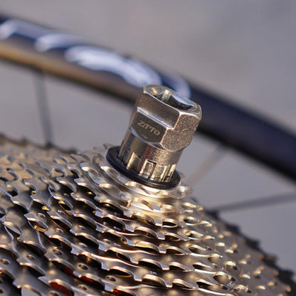 TBD06059194_B5.jpg@a646aec58fc19f8cde8049ed475866cf