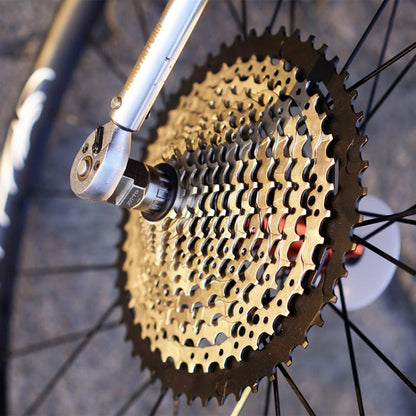 TBD06059194_B6.jpg@92d344c4fc05341f39d3aefc38bd4097