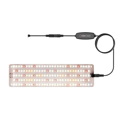 TBD0605982801B.jpg@076c9aab95af897edc713f7abd6626a4