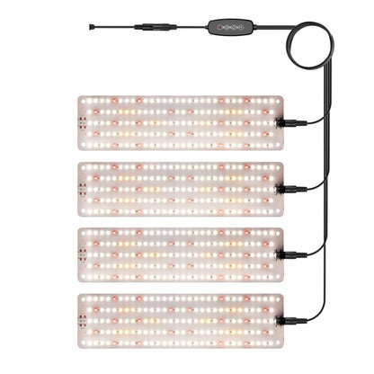 TBD0605982804A.jpg@99792f6c8fff4704c5cddf9a3251277f