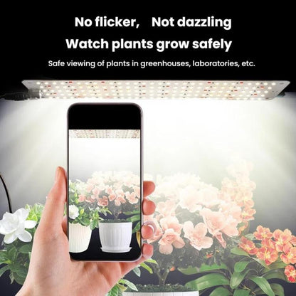 TBD06059828_B6.jpg@b213150886b41223f67b4063a9148ae7