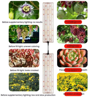 TBD06059828_B7.jpg@463ecc639dd2e4b693933f474a2a6e00