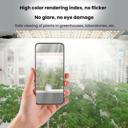 TBD06059841_B8.jpg@3ac51ee3011704201747f4d68f93bd69