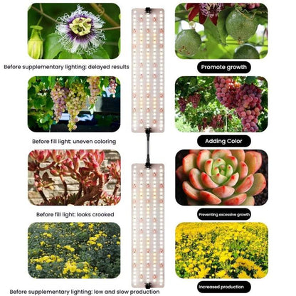 TBD06059841_B9.jpg@bbb82c3354083883cceb6fb391d9f258