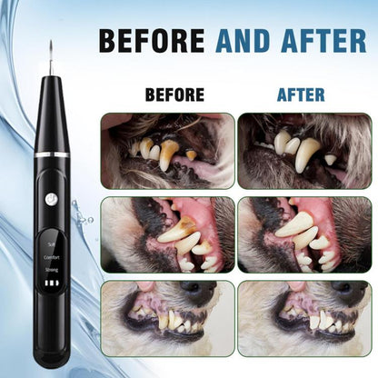 TBD06059870_B4.jpg@072fc776a87db4107ac384e5ab41d9b7