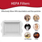White HEPA-style replacement vacuum filter with black sealing strip