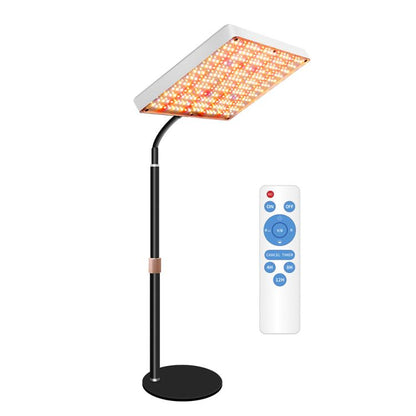 TBD0606110501A.jpg@f95a7a6229735f2185ddd9f983b22594