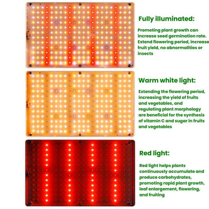 TBD06061105_B4.jpg@5ef6a6e01f4e0e7b1d60156ced684e96