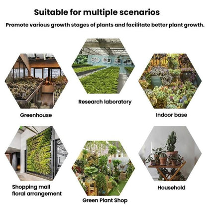 TBD06061105_B8.jpg@6c730b58866637214ebe888b9a749dc1