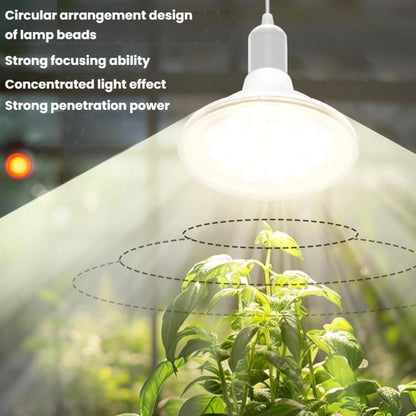 TBD06061113_B4.jpg@b78fad5dfef7c24bc0aa73b6fe5c395e