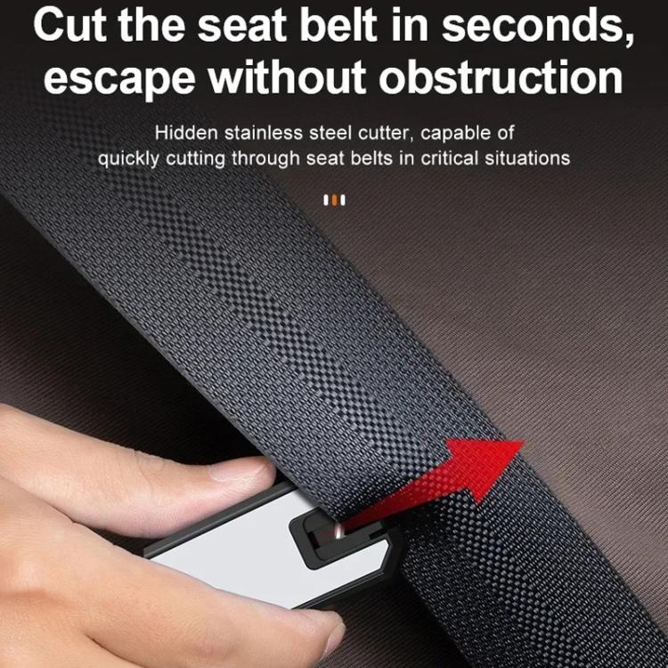 TBD06061219_B5.jpg@c1ad9864624a5b22fd9261a858e30bd1