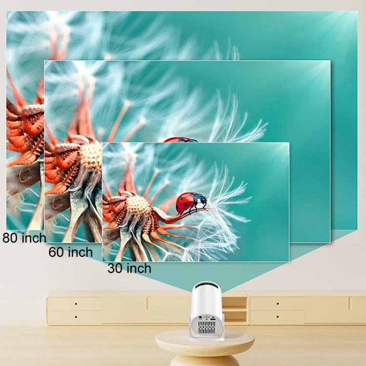 TBD06061433_B6.jpg@ad5946d229dcec96100d0bca0090b415